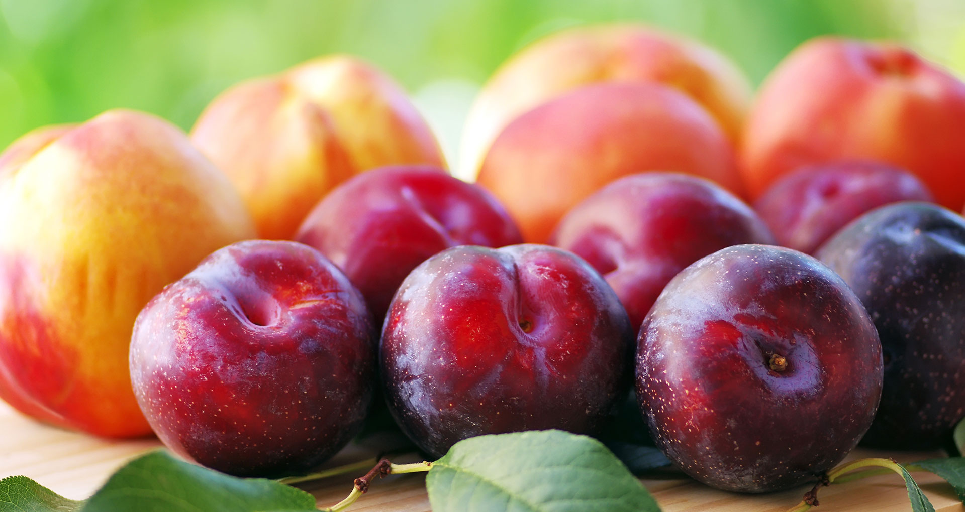 Fruits