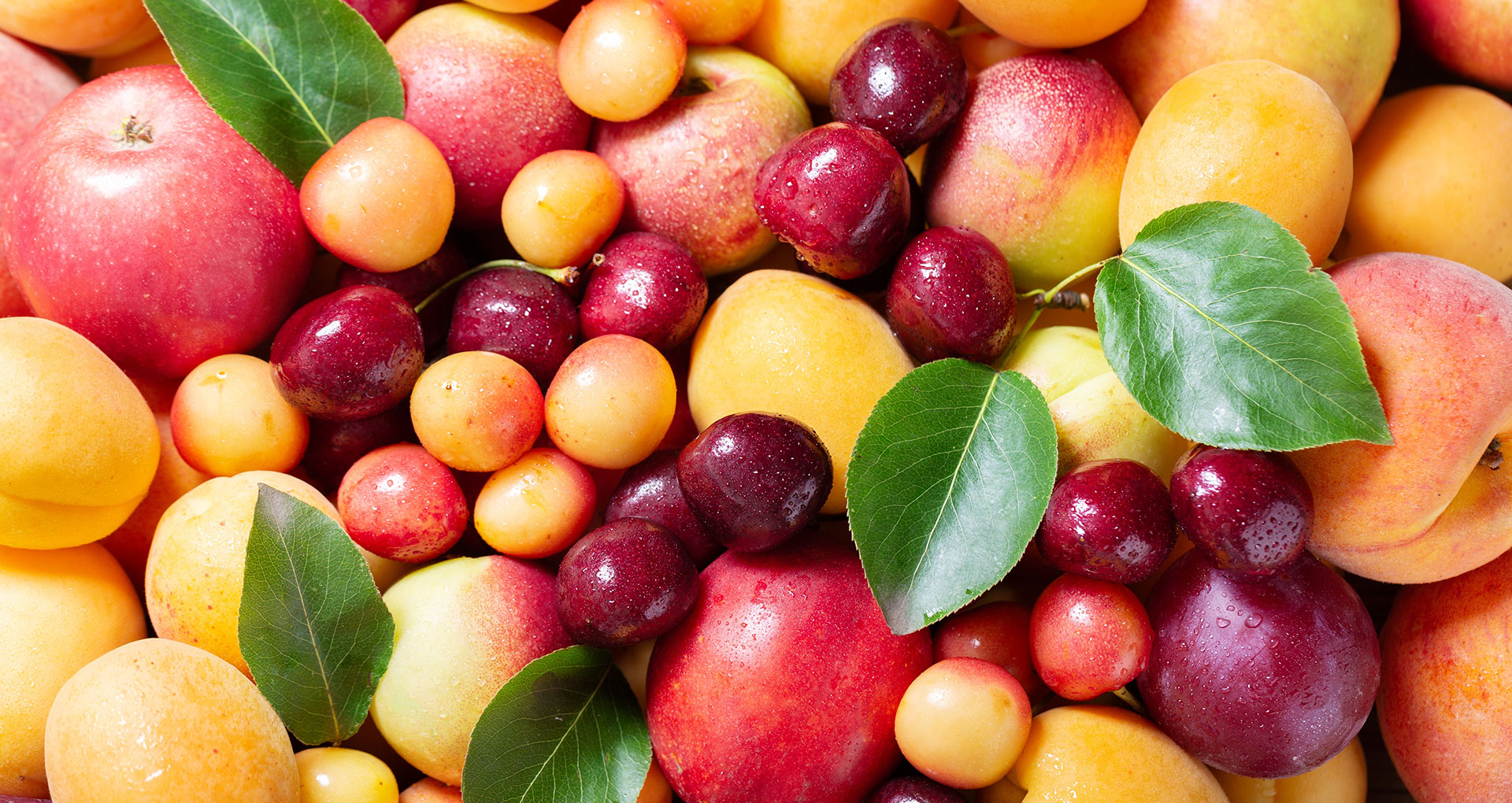 Fruits