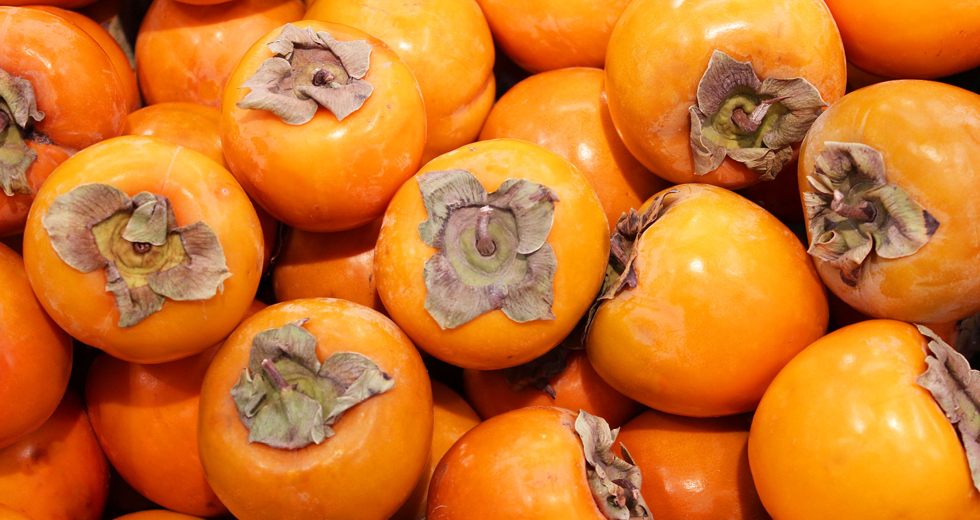 Persimmon